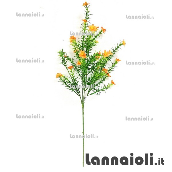 EDERA-ROSMARINO-NEBBIOL. RAMO 